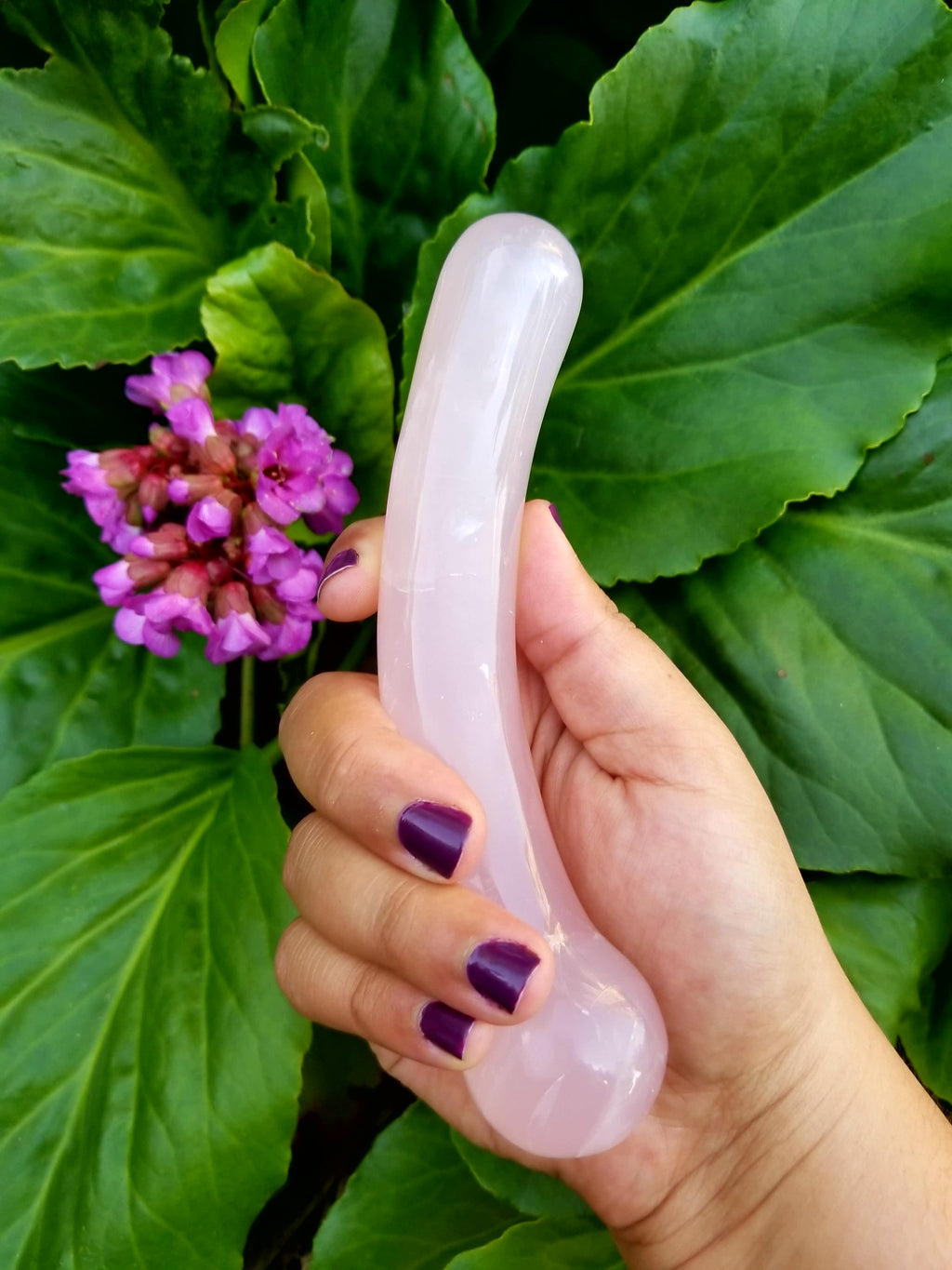 Curvy G Rose Quartz Crystal Wand – 7" Curved | Reiki-Infused | Goddess Wands