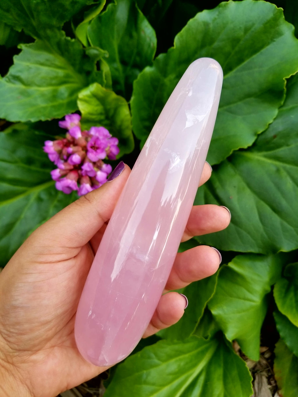 Rose Quartz Crystal Healing Wand – 7" | Reiki-Infused | Goddess Wands